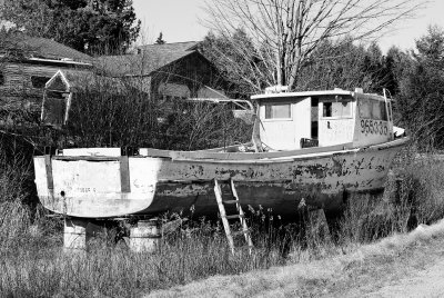 2219_BW.jpg