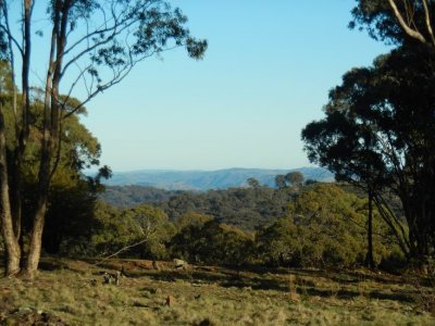 HillEndLookout1642.JPG