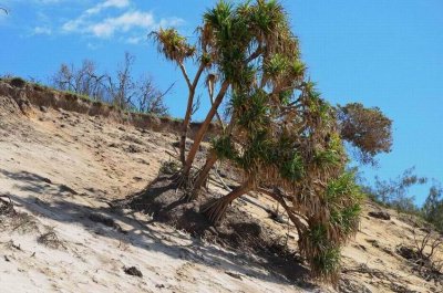 RainbowBeachQld2014_0812.JPG