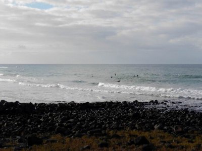 BarabaQld2014_2614.JPG