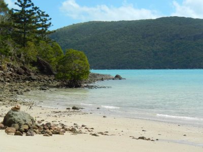 HookIslandQld2014LowTide_3068.JPG