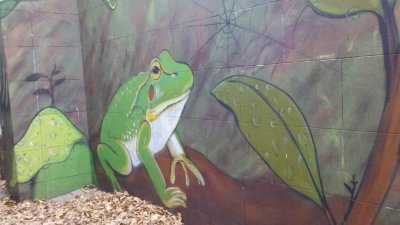 PaintingFrog.jpg