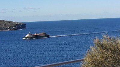 SydneyBushwalk_105303.jpg