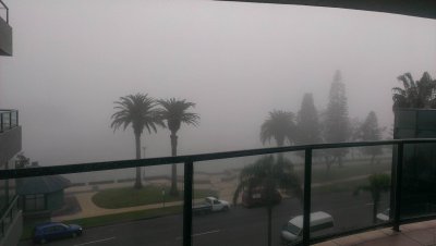 Harbour Views