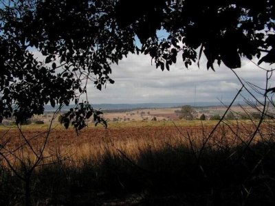 5YarramanQLD2015.jpg