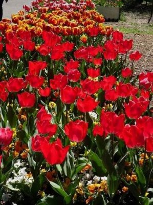 Floriade Oct 2016