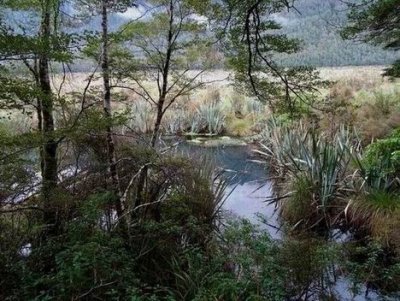 MirrorLakeNZ2016_00614.JPG