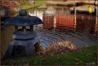 Japanse tuin Hasselt 2013