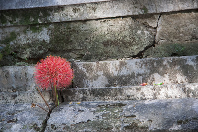 Colors of Laos