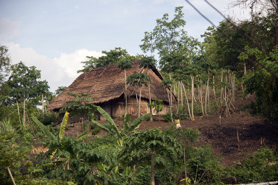 Luang Prabang (Hmong Village)