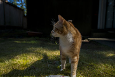 g9/84/610984/3/152118629.5r9mYTLd.jpg
