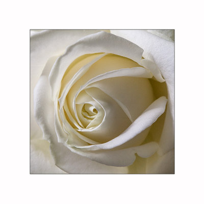 g9/84/629784/3/154857477.sH7URRpX.jpg