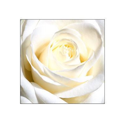 g9/84/629784/3/154857923.jgOcvVvi.jpg