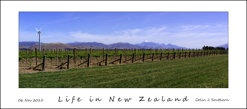 Life in New Zealand 01