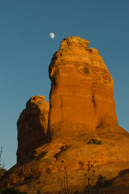 DSC_0130.jpg