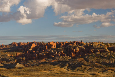 DSC_0153.jpg