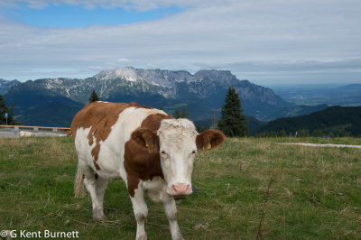 German Alps