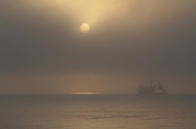 Shrimp Trawler foggy morning