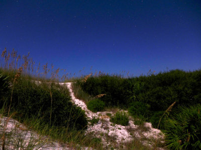 Dunes at night sm.jpg