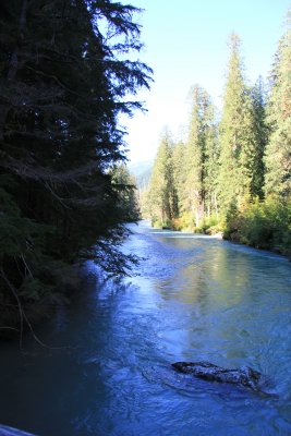 Thunder Creek,  North Cascades National Park