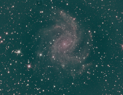 NGC6946 pro.png