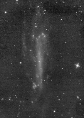 NGC4236 80 20   60x150.png