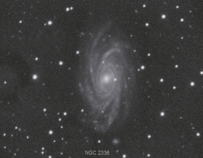 NGC 2336