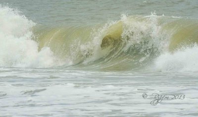 34  Surf  Ocean City  07-03-13.jpg