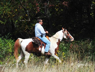 1624  Nature Trail Big Meadows 09-22-13.jpg