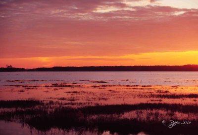 2220   Sunset  Chincoteague NWR Va