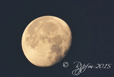 2569  Moon at Sunrise  Chincotegue  11-27-15.jpg