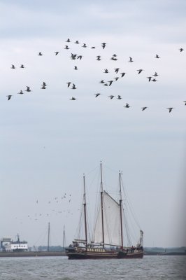 _K7_5603.jpg