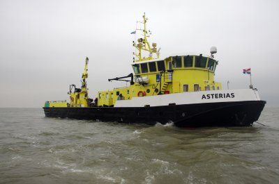 Kraamtijd voor de grijze zeehonden in de Waddenzee