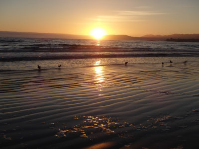 SoCal_PnS_019.jpg