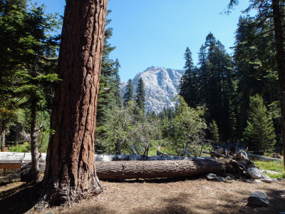 SoCal_PnS_039.jpg