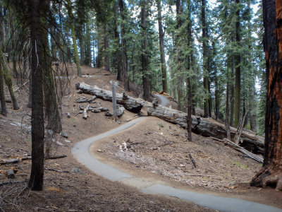 SoCal_PnS_072.jpg
