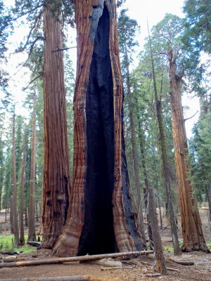 SoCal_PnS_075.jpg
