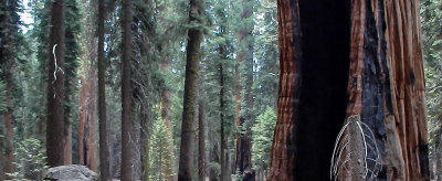 SoCal_PnS_076.jpg