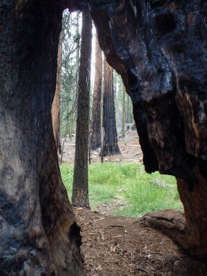 SoCal_PnS_080.jpg