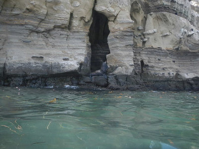 soCal2013_PnS_nikon_031.jpg