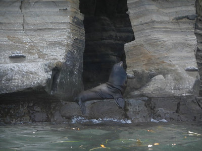 soCal2013_PnS_nikon_033.jpg
