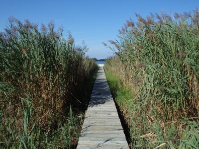 maryland 021.JPG