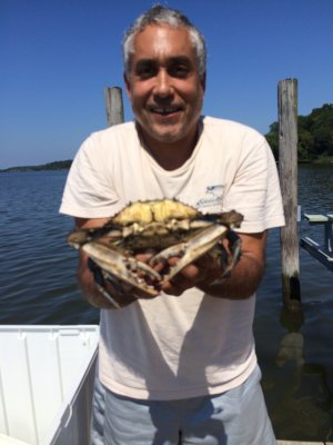 crabby-ray.JPG