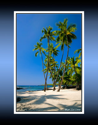 Palms on White Sand RD-490 CT .jpg
