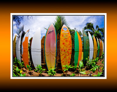 Surfboard Fence 2 RD-606 CT .jpg