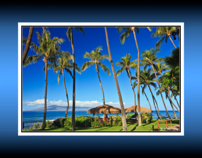 Kaanapali 25764 BC CT.jpg