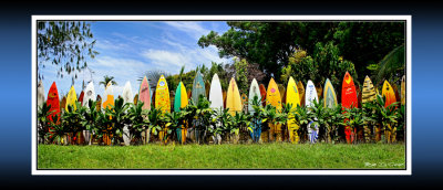 Surfboard Fence RD-468 BC CT .jpg