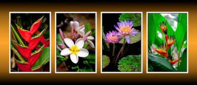 4 flowers 9 CT .jpg