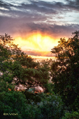 south_africa_2014
