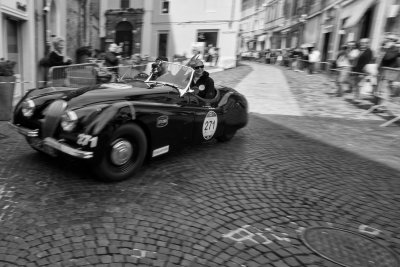 millemiglia 2014